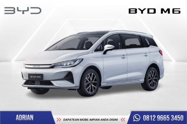 BYD M6